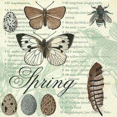 Tovagliolo di Carta 33x33cm Spring Library 20pz Raffinati