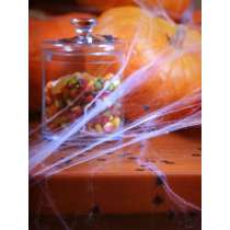 Ragnatela Bianca con 2 Ragni Neri 60gr Addobbi e Festoni Halloween