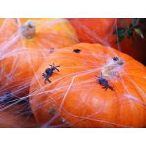 Ragnatela Bianca con 2 Ragni Neri 60gr Addobbi e Festoni Halloween