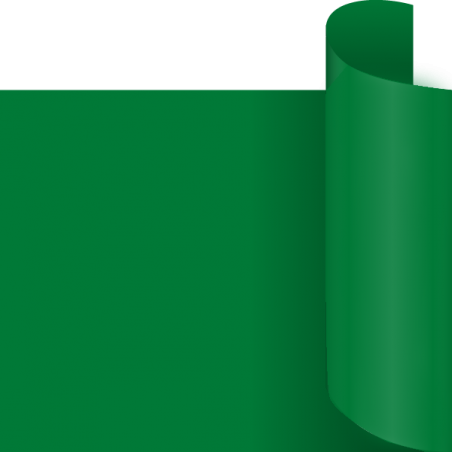 Vinile Adesivo Lucido Verde Bandiera 30cmx5mt Vinile per Plotter da taglio