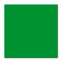 Tovagliolino di Carta 25x25cm Verde Smeraldo 100pz Verde "Green"
