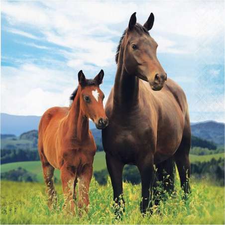 Tovagliolo di Carta 33x33cm Cavallo "Horse and Pony" 16pz Festa Tema Cavallo "Horse"