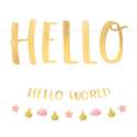 Festone Nascita Hello World "Oh Baby Pink" 2pz