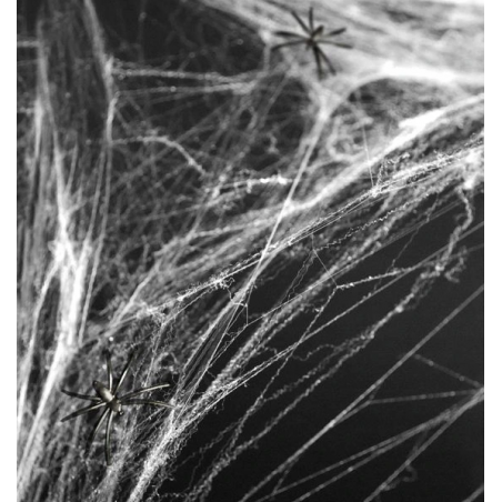 Ragnatela Bianca con Ragni 40gr Addobbi e Festoni Halloween