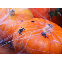 Ragnatela Bianca con Ragni 40gr Addobbi e Festoni Halloween