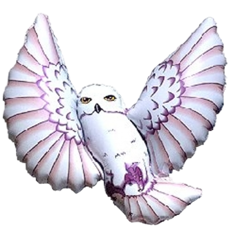 Palloncino in Foil 40" Super Shape Civetta Bianca "Owl" Animali (Uccelli)