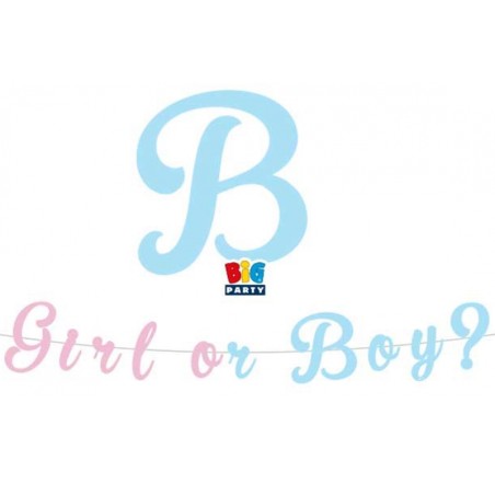 Festone Sagomato "Girl or Boy?" 3mt Addobbi Gender Reveal Boy or Girl?