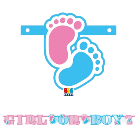 Festone Sagomato "Girl or Boy?" 1.85mt Addobbi Gender Reveal Boy or Girl?