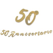 Festone 50° Anniversario "Anniversary" 3mt 50° Anniversario