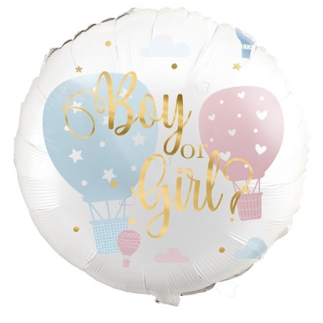 Palloncino in Foil 18" Mongolfiera Rosa e Celeste Gender Reveal "Boy or Girl?" Palloncini Gender Reveal Boy or Girl?