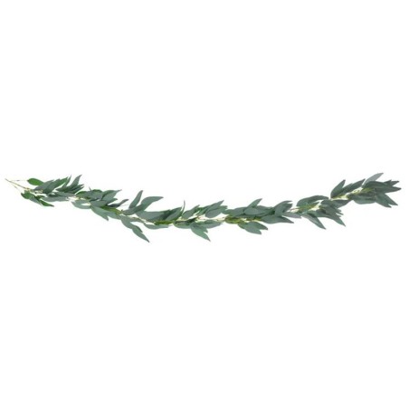Ghirlanda Foglie di Salice "Garland Willow Leaves" 2mt Festoni e Ghirlande
