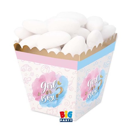 Mini Box Porta Caramelle Gender Reveal 12pz Tavola Gender Reveal Boy or Girl?