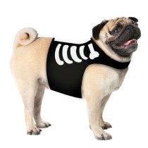 Costume da Scheletro per Cane Taglia S Accessori Persona Halloween