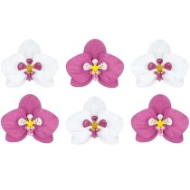 Decorazione Orchidea Aloha 6pz Decorazioni Tropicali