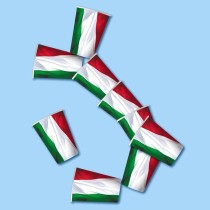 Bicchiere di Carta 250ml Tricolore Italia 8pz Italia