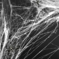 Ragnatela Bianca con 2 Ragni Neri 60gr Addobbi e Festoni Halloween
