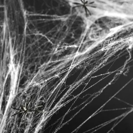 Ragnatela Bianca con 2 Ragni Neri 60gr Addobbi e Festoni Halloween