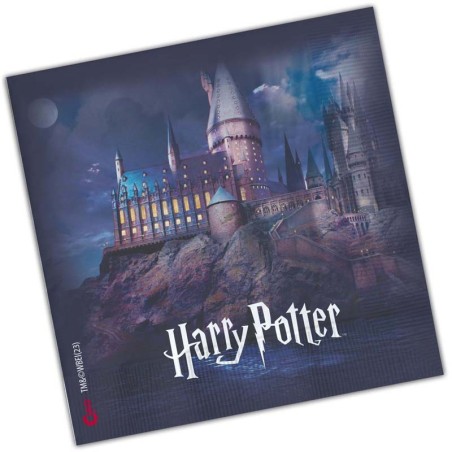 Tovagliolo di Carta 33x33cm con Harry Potter "Hogwarts" 20pz Harry Potter