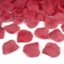 Cannon Spara Petali Rosso "Red" 40cm Addobbi e Accessori Amore