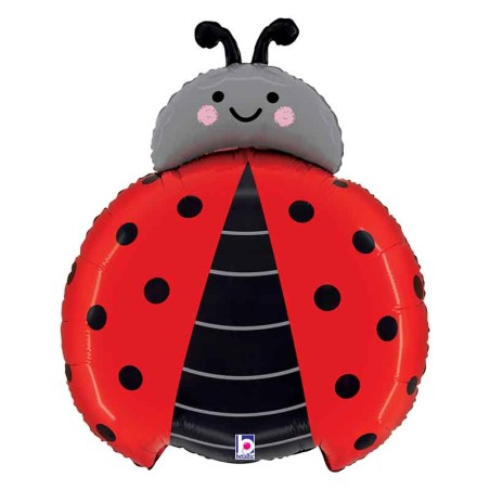25 Puntelli Per Cabina Fotografica A Forma Di Coccinella: Accessori Fai Da Te Per Feste Di Compleanno