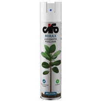 Cartone da 12pz Lucidante Spray Cifo 750ml Cifo