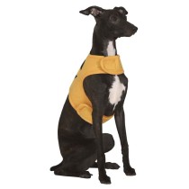 Costume da Zucca per Cane Taglia S Accessori Persona Halloween