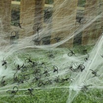 Decorazione Halloween Ragno Nero 50pz Accessori Tavola Halloween