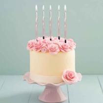 Candelina Stelo 15cm Swirl Ombre Bianco e Rosa 5pz Candeline Stelo