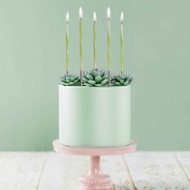 Candelina Stelo 15cm Ombre Bianco e Verde Lime 6pz Candeline Stelo