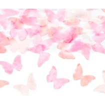 Cannon Sparacoriandoli Farfalla Rosa "Hello Baby Girl" 20cm Sparacoriandoli Eventi