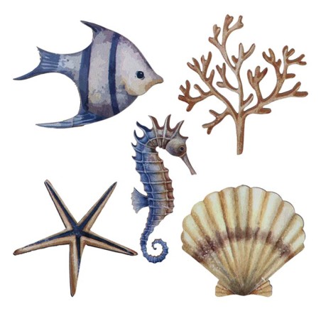 Decorazioni in Legno Mare e Conchiglie 10pz