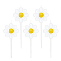 Candelina Picks Margherita "Daisy" 5pz Margherita "Sun Daisy"