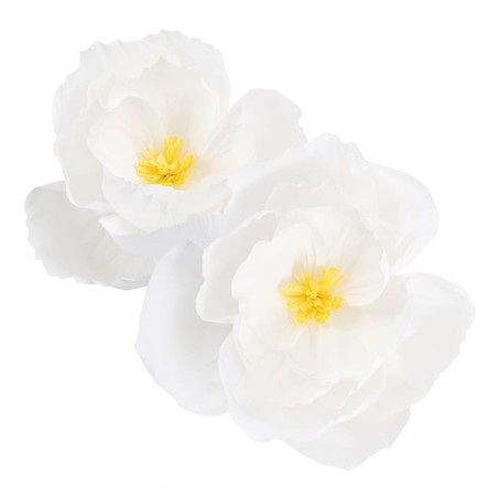 Decorazioni di Carta Crespa Fiori Bianchi 2pz Decorazioni