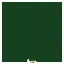 Tovagliolo di Carta 33x33cm Ecolor Verde Foresta 40pz Verde Scuro "Dark Green"