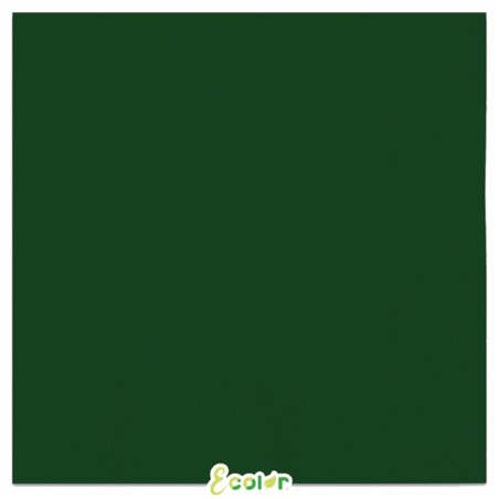 Tovagliolo di Carta 33x33cm Ecolor Verde Foresta 40pz Verde Scuro "Dark Green"