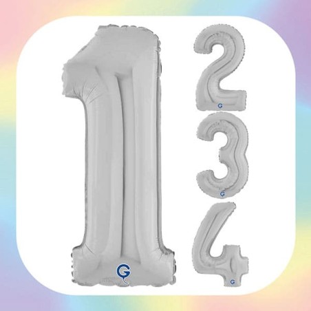 Numeri 26" Argento "Silver"