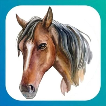 Festa a Tema Cavallo "Horse" | Balloon Party