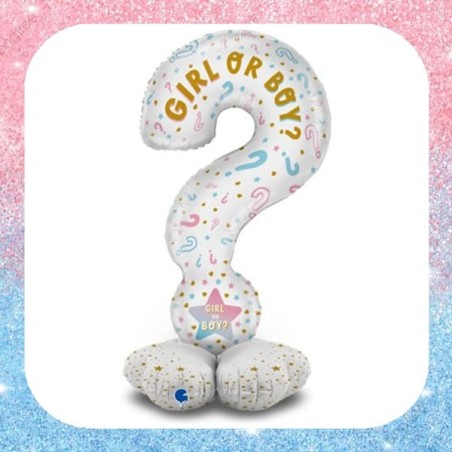 Palloncini Gender Reveal Boy or Girl?