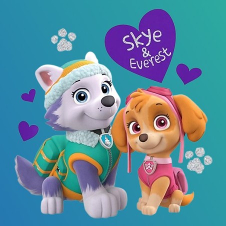 Festa a Tema Paw Patrol Skye