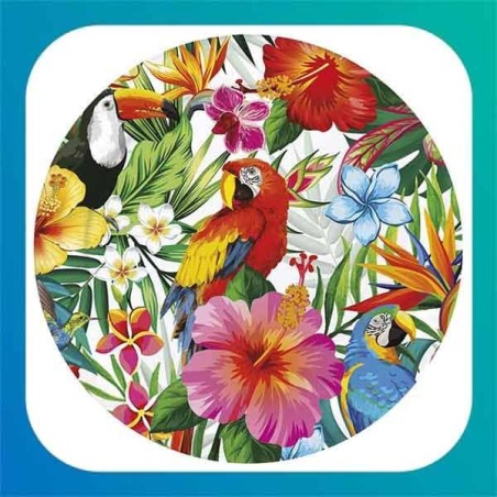 Pappagallo "Parrot"