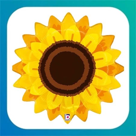 Piante e Fiori